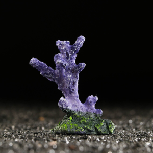 Augue aliquam orci auctor