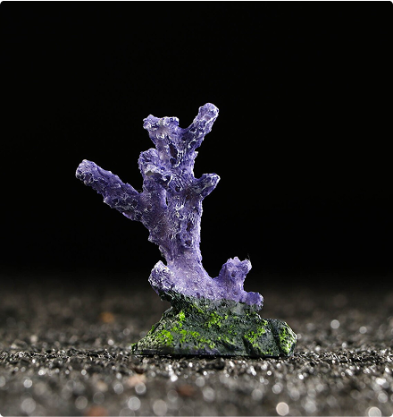 Augue aliquam orci auctor