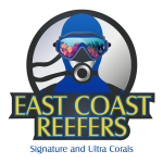 Jody-Mayhew-Logo--02